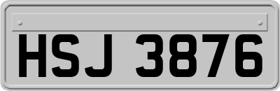 HSJ3876