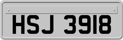 HSJ3918