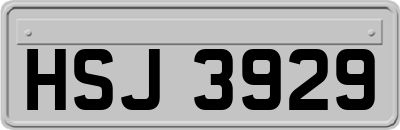 HSJ3929