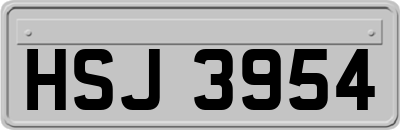 HSJ3954