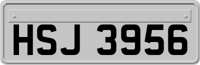 HSJ3956