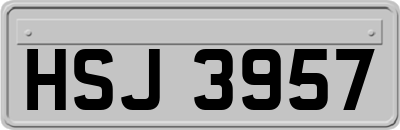 HSJ3957