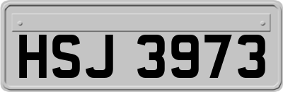 HSJ3973