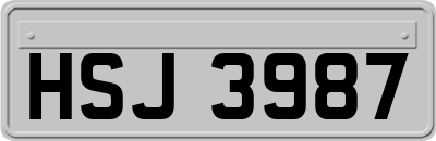 HSJ3987