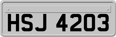 HSJ4203