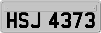 HSJ4373