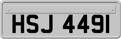HSJ4491