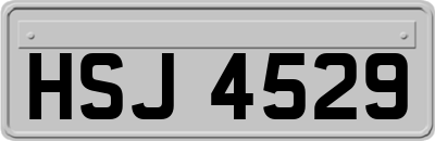 HSJ4529