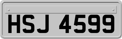 HSJ4599