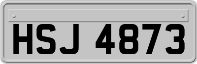 HSJ4873