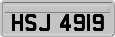 HSJ4919