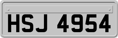HSJ4954