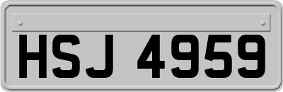 HSJ4959