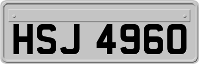 HSJ4960