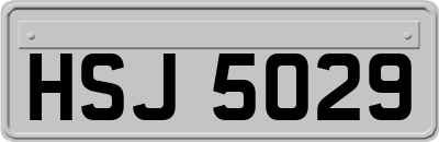 HSJ5029