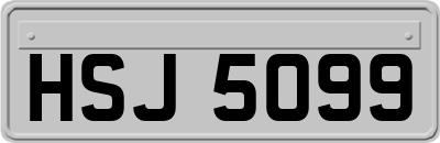 HSJ5099