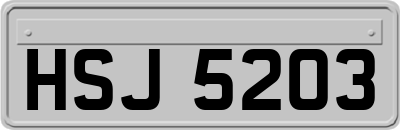HSJ5203