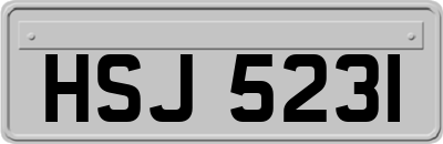 HSJ5231