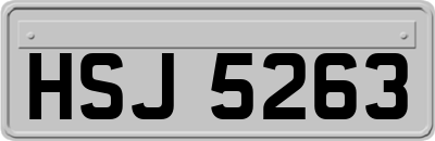 HSJ5263