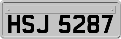HSJ5287