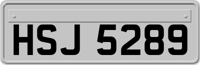 HSJ5289