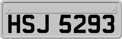 HSJ5293
