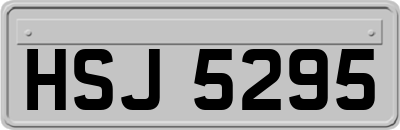 HSJ5295