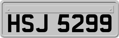 HSJ5299