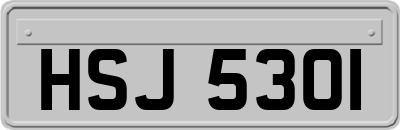 HSJ5301