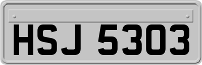 HSJ5303