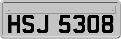 HSJ5308