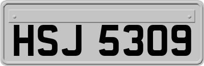 HSJ5309