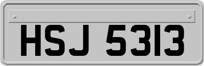 HSJ5313