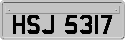 HSJ5317