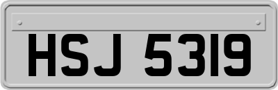 HSJ5319