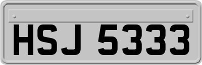HSJ5333