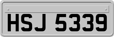 HSJ5339