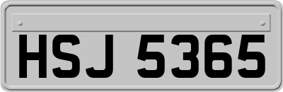 HSJ5365