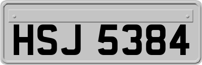 HSJ5384