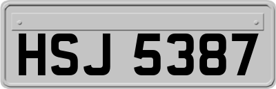 HSJ5387
