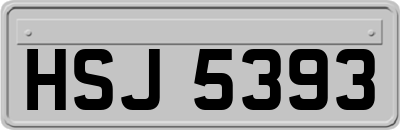 HSJ5393