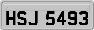 HSJ5493