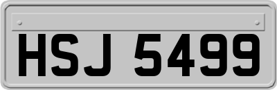 HSJ5499