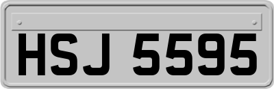 HSJ5595