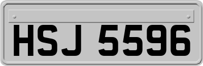 HSJ5596