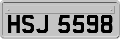 HSJ5598