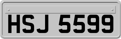 HSJ5599