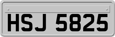 HSJ5825