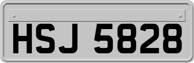 HSJ5828