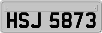 HSJ5873